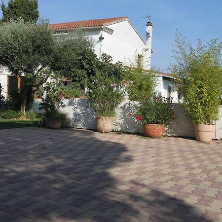 site machambreencamargue Vauvert Extérieur photo